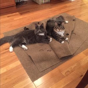 Cat ripple rug, almost new